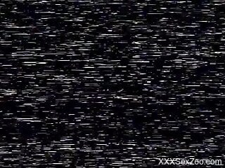 Hot bestiality threesome taking place outdoors