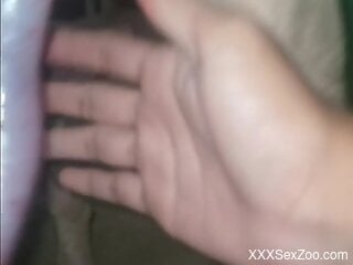 Appealing slut rubs the dog's dick in exceptional perversions