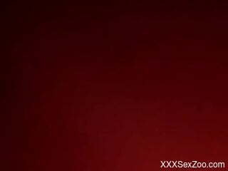 Housewife is ready for zoo sex in the bedroom