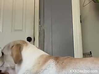 Housewife is ready for zoo sex in the bedroom