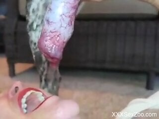 Mature slut gladly enjoys blowjob during zoo sex