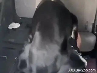 Big dog ass fucks nude woman in a serious zoo porn display
