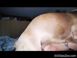 Aroused woman combines blowjob with handjob in real zoophilia