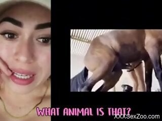 Aroused babe likes to watch online dog porn and comment on it