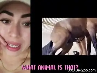 Aroused babe likes to watch online dog porn and comment on it