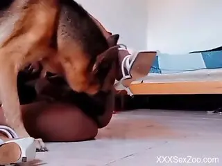 Aroused slut moans for more when the dog fucks her wet pussy