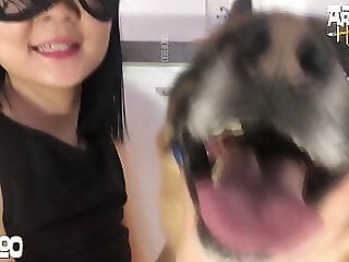 8Zoo