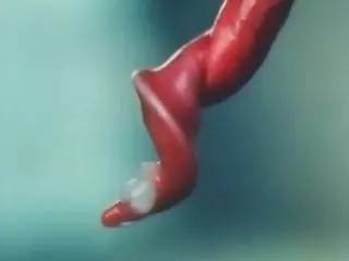 ZooPorno