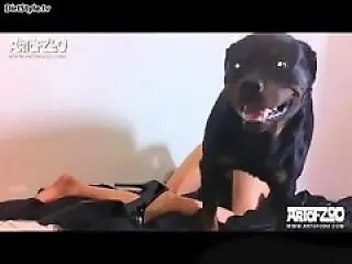Animal Sex