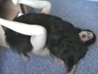 XXX bestiality zoo porn