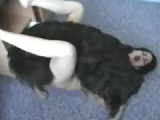 Zoo porno and bestiality