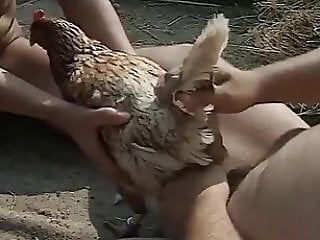 Zoo porn and zoo sex video