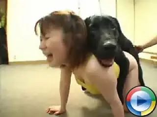 Zooporn Video
