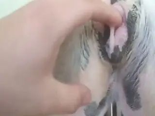 Animal Sex Site