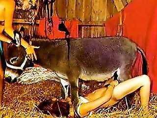 Animal porn videos and ZOO PORN