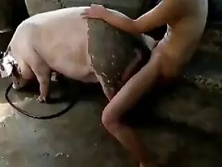 Animal Zoo Sex
