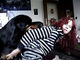 XXX bestiality zoo porn