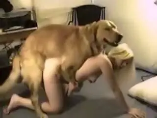 XXX Zoo video
