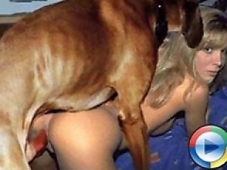 Free bestiality and zoophilia porn