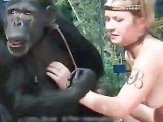 Animal porn and zoo sex