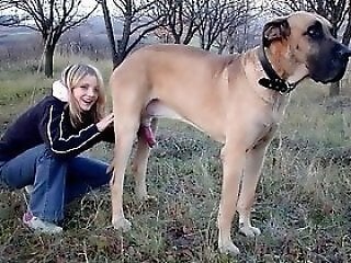 Zoophilia porn and animal sex