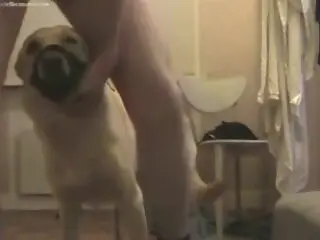 ZOO Porn and bestiality tube