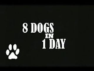 Beast Vids