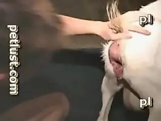 XXX Zoo video