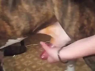 Girls animal sex