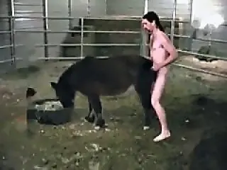 Horse Fuck