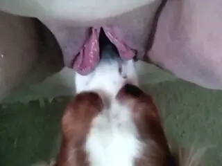 Zoo porn and zoo sex video