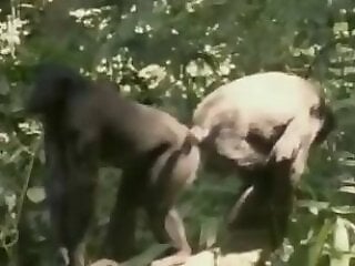 Animal porn and bestiality