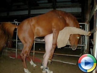 Animal porn and zoo sex