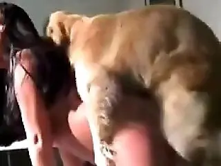 Zoophilia porn and animal sex