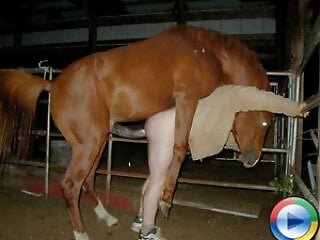 Zoo porn and zoo sex video