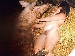 Zoo Zoo Sex Porn