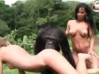 Zoo Fuck Tube