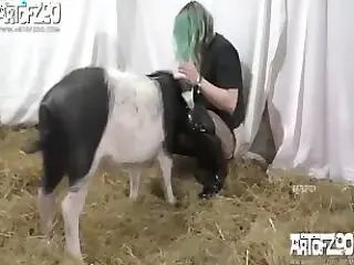 Animal porn and bestiality