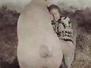 Animal porn videos and ZOO PORN