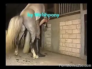 PornMoviesZoo