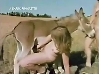 Animal Fuck