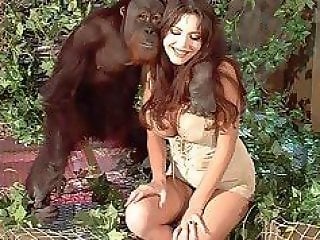 Real Zoo Sex