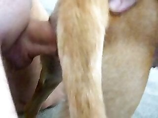 XXXZooVideo