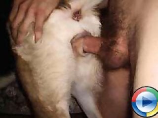 Animal porn and zoo sex