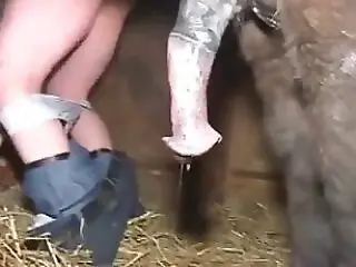 Animal Fuck