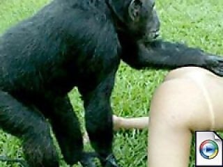 Zoo Sex Porn