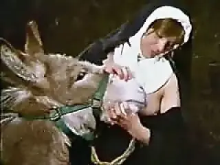 Zoo Zoo Sex Porn
