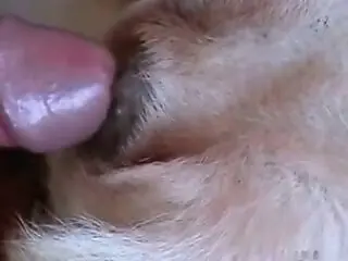 Zooporn Video