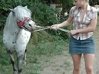 Zoo Porno