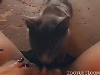 Zooporn Video
